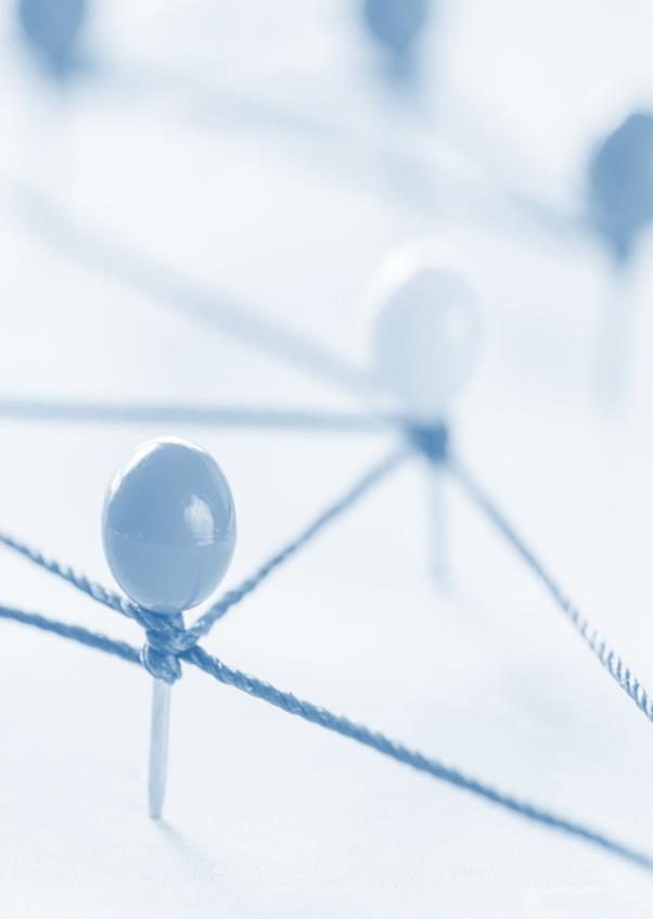 Connected network representing trade partnerships